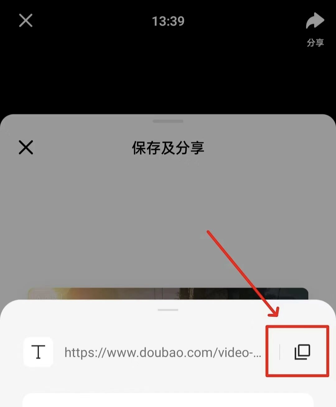 正文图片