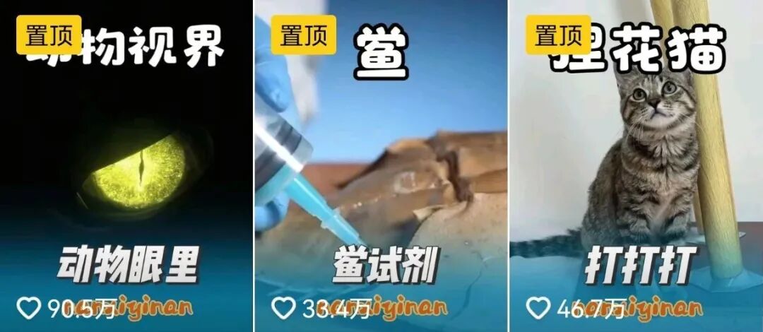 正文图片