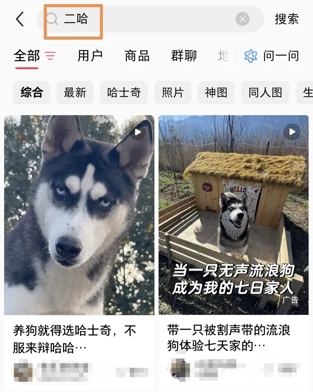正文图片