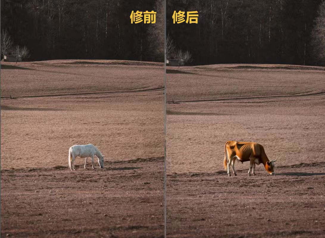 正文图片