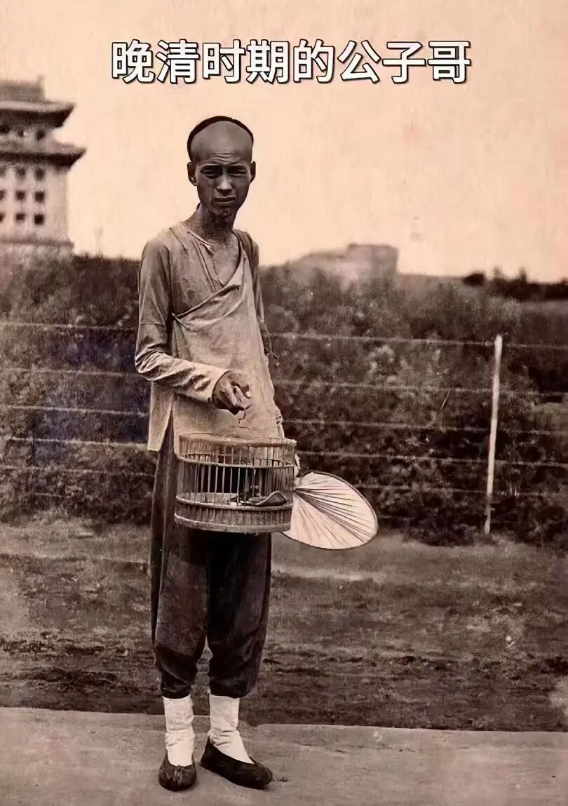 正文图片