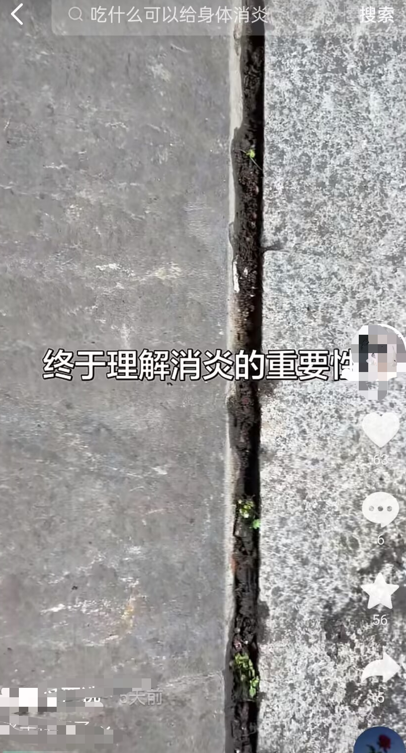 正文图片